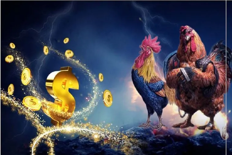 Kinh Nghiệm Chinh Phục Đá Gà WS168 Tại EE88 Dành Cho Người Chơi
